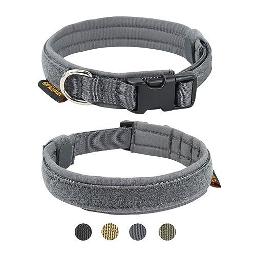 pets petsmart dog collar