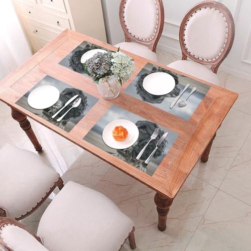 Sets de table Cocker Spaniel lavables en PVC noir 30x45 cm lot de 6 - 7