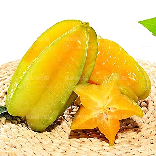 100pcs Averrhoa Carambola Seed Rare Tropical Carambola Fruit Seed Tree Plants for Home Garden Potted Plant Decoration