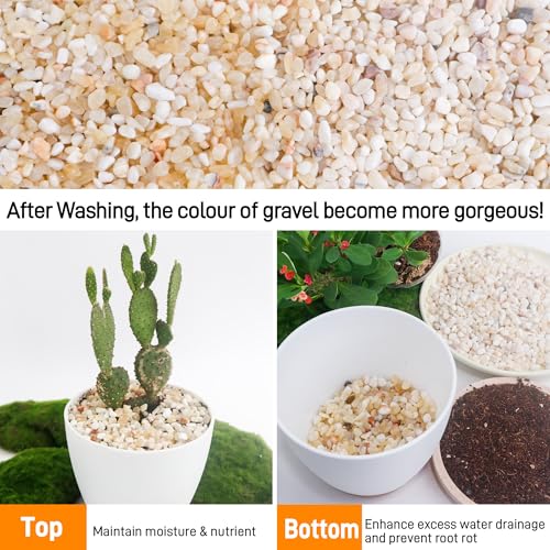 Image of CJGQ 2.4lb Aquarium Gravel for Plants,1 /5 Inch Natural Decorative River Rocks for Succulent and Cactus Landscaping, Natural Small Rocks for Fish Tanks, Vases & Terrariums