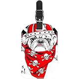 totenkopf schaltknauf shop Mit Infokarte und genügend Platz zum Schreiben Ihrer persönlichen Daten verhindern Sie Ihr Gepäck vor Verlust