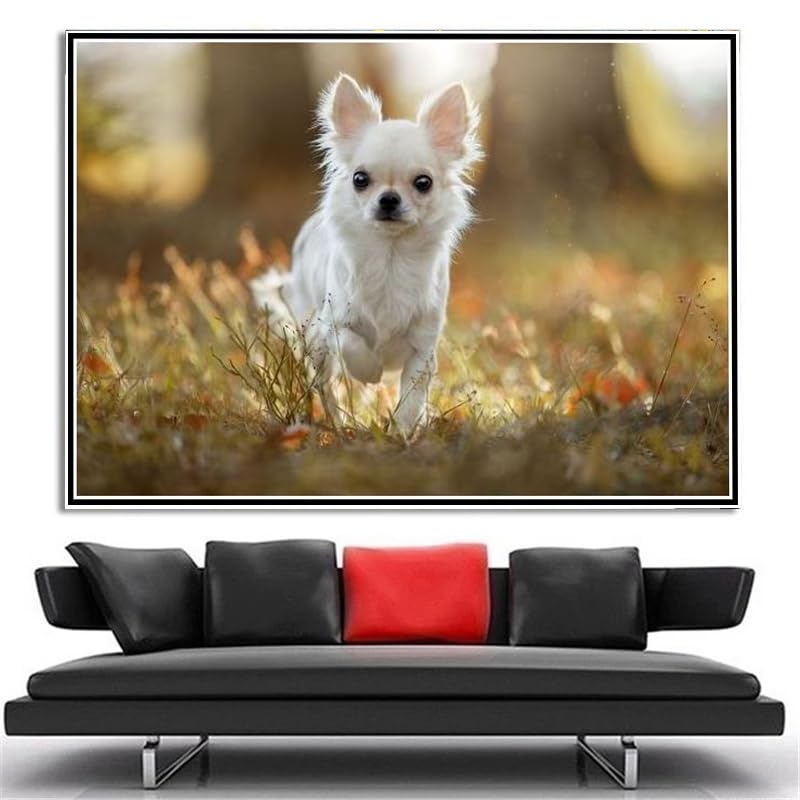 Amazon | チワワのかわいいペットの犬﹣DIY 5Dダイヤモンドペイン