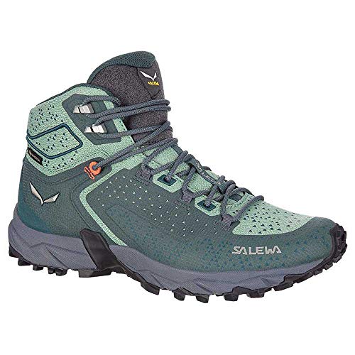 Salewa WS Alpenrose 2 Mid GTX