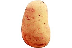 Bedtime Buddy: Fendawn's Adorably Potato-Shaped Stuffed Animal