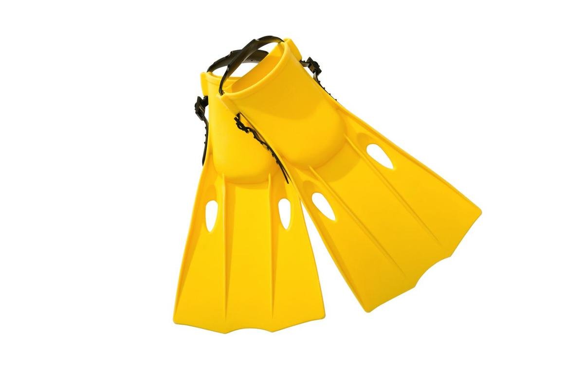 Intex Fins
