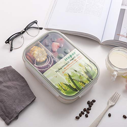 Itopor Lunch Box,Ideal Lunch Box Kids,Snack Lunch Box For Kids And Adults, Safety Bento Box No Bpas And No Chemical Dyes,Healthy Kids Lunch Box Made From Natural Wheat Fiber Material(White) #TOP4