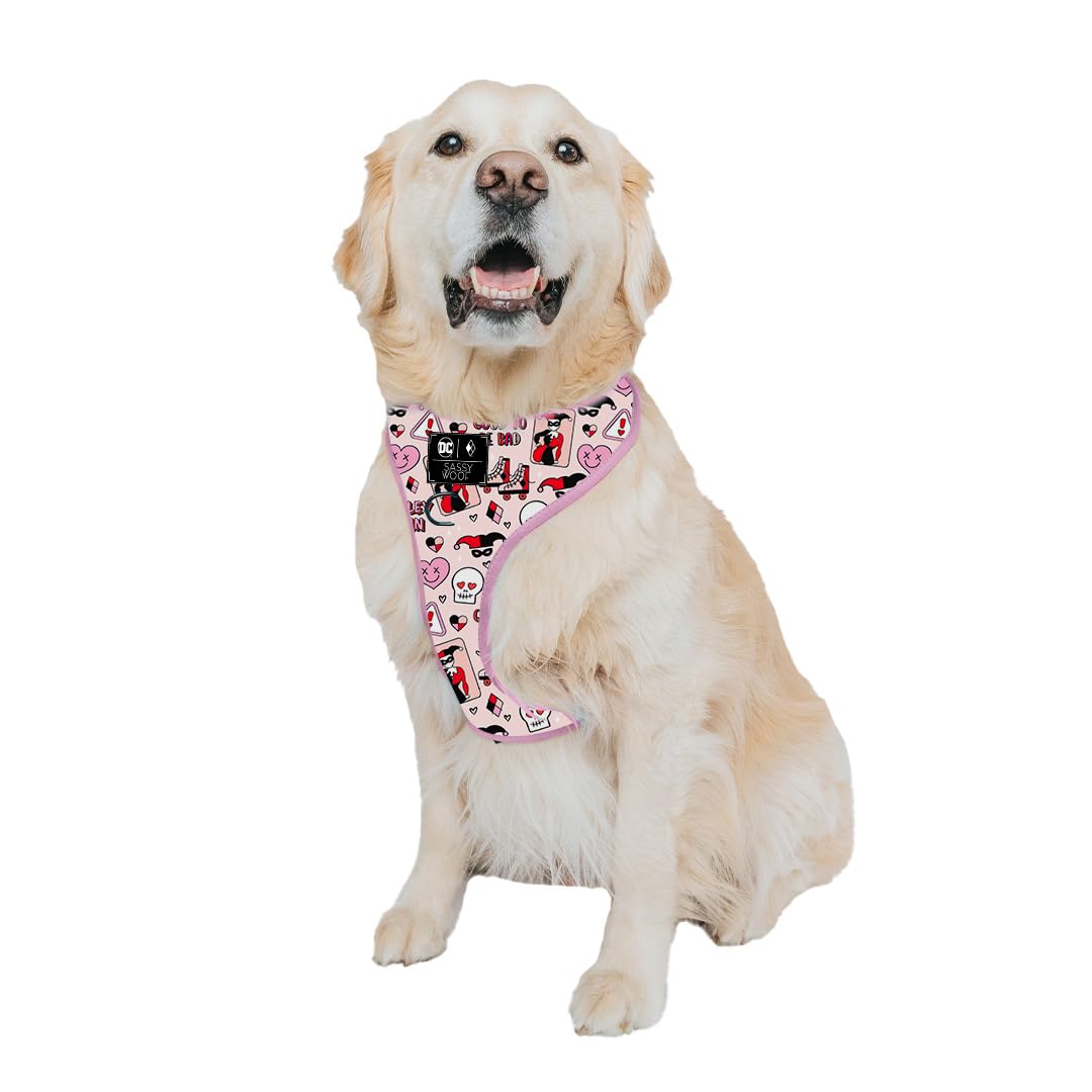 Sassy Woof Dog Adjustable Harness - Harley Quinn™ - XL, Breathable Mesh, No Pull Design with Two D-Rings, Patented Design, Perfect for Extra Large