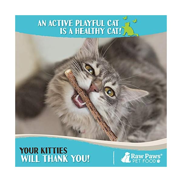 Raw paws silvervine for cats (30-ct) - silvervine cat toys for indoor cats - catnip sticks - matatabi cat chew stick - silvervine sticks for cats, silver vine sticks cat kicker toy, cat toy silvervine - image 6