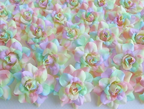 ICRAFY (50) Cabeza de flores de seda arcoíris tonos pastel, rosas  1.75 pulgadas  Cabeza de flores artificiales de tela, suministros florales al por