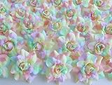 ICRAFY (50) Silk Rainbow Pastel Tones Roses Flower Head - 1.75' - Artificial Flowers Heads Fabric Floral Supplies Wholesale Lot for Wedding Flowers Accessories Make Bridal Hair Clips Headbands Dress