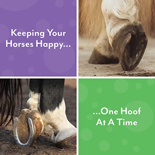 Handson Hoof Pick - Horse Grooming Supplies for Daily Cleaning & Maintenance - Metal Pick w/Hoof Filer for Horses - Ergonomic Grip - Image 7