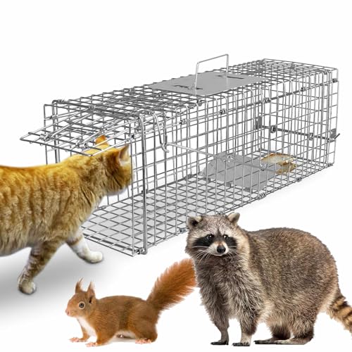 Live Animal Trap Cage, Heavy Duty Folding Humane Catch Release Rodent...