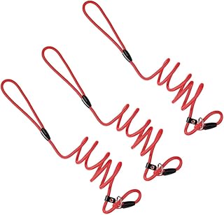 Mipcase 3pcs Leash Bungee Dog Walking Rope Dog Belt Puppy Accessories Dog Walking Leads Slip Cat Handle Retractable Dog Lead Kitten Accessories Puppy Supply The Dog Chain Ring Nylon Rope