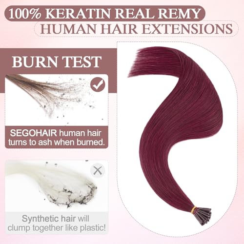 SEGOHAIR I Tip Hair Extensions Human Hair 16inch Cold Fusion I Tip Hair Pieces Wine Red I Tip Extensions Remy Human Hair Pre Bonded Hair for Women 50g 50 Strands - Image 2