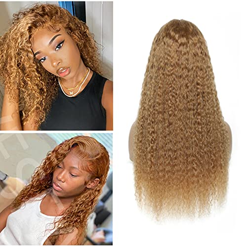 KAFEIER Honey Blonde Wig Swiss Invisible Lace 27 Lace Front Wig Human Hair Pre Plucked Curly 4X4 Closure Wigs Human Hair Wet and Wavy 130% Density Unprocessed Virgin Hair Color 27 14 Inch