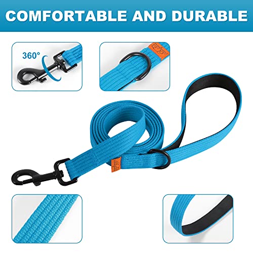 Lynxking 6Ft Dog Leash For Large Medium Small Dogs,Strong Durable Heavy Duty Nylon Leashes For Walking And Training, Heavy Duty 6 Foot Dog Leash With D Ring For Puppy (Blue, Small 5/8" X 6') #TOP3