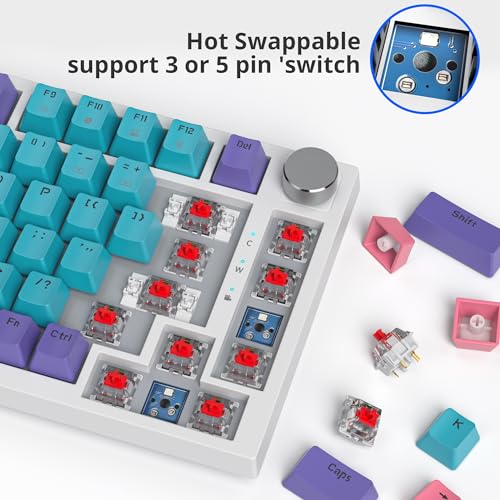 Image of Fogruaden Wired Mechanical Keyboard 75% Percent Hot Swappable, Red Switch, TKL Mechanical Keyboard, Gasket Mount, RGB Backlit Compact Gaming Keyboard with Volume Knob(Joker)
