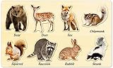 MoinKidz, Puzzle in Legno per Bambini Piccoli Montessori Puzzle Animali della Foresta per Bambini 3-5 Anni Giocattoli educativi di apprendimento STEM Regalo di compleanno per Bambini e