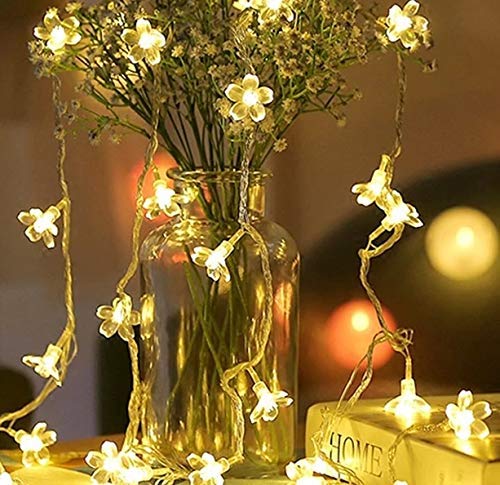 Image of KharidoLive 30 LED Blossom String Lights for Home Decoration (5 Meter Long, Warm White - Steady Lights, 2 Pin Plug)