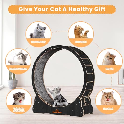 Image of Homegroove Cat Wheels for Indoor Cats, 46 inch Large Cat Exercise Running Treadmill Wheel with Carpeted Runway for Kitty's Longer Life, Black(XL)