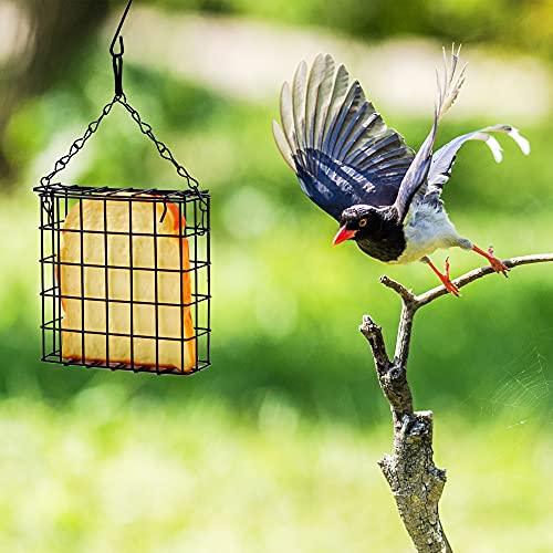 Shitailu 2Pcs Suet Bird Feeders, Outdoor Garden Cages, Suet Feeder For Outside Hanging, Wild Bird Feeder, Single Suet Cake Bird Feeders, One Suet Capacity #TOP6