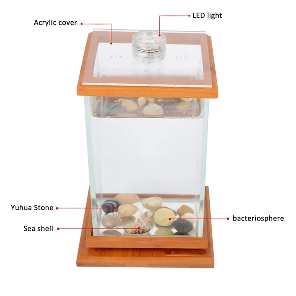 Betta Fish Tank, bambusowa plastikowa obrotowa miska na ryby z lekką pokrywką, przezroczyste 360° ozdobne akwarium do dekoracji wnętrz, do użytku na biurku, przezroczysta, prostokątna konstrukcja