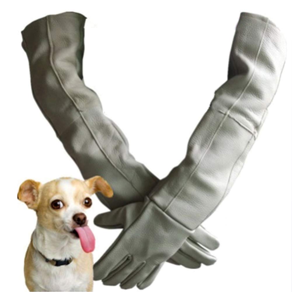 JOEPET Animal Handling Gloves, Leather Gauntlet, Thickened Cowhide Dog,Cat Scratch,Bird Handling Falcon Gloves,void Contact with Infection,Safe and Hygienic