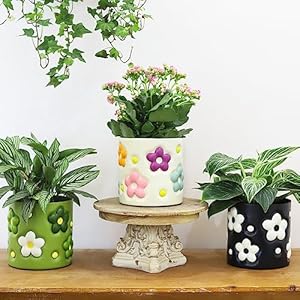 GUGUGO Planters, Cute Unique Plant Pots with Drainage Holes, Funny Flower Pots for Indoor Plants, Eclectic Succulent Planter Pot Aesthetic Living Room Decor (Green, 5 Inch) GUGUGO Planters Cute Unique Plant Pots with Drainage Holes Funny Flower Pots for Indoor Plants Eclectic Succulent Planter Pot Aesthetic Living Room Decor Green 5 Inch