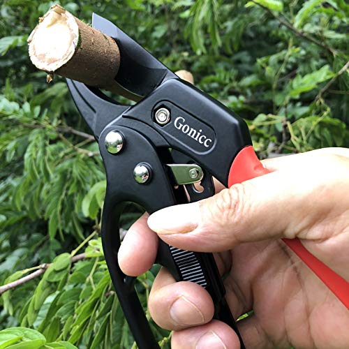 Gonicc 8" Professional Ratchet Anvil Pruning Shears (Gpps-1011), Ratcheting Mechanism, Anvil Groove Design, Reinforced Design Handle, Garden Shears Clippers, Anvil Pruner, Hand Tools Scissors Loppers #TOP4