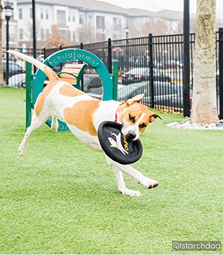 Ollydog Flyer Disc, Dog Frisbee, Lightweight And Floating, Dog Toys Interactive, Dog Stuff, Gentle On Teeth And Gums (Golden Spice) #TOP7