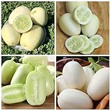 30+ Seed Dragon's Egg Cucumber Seeds for Planting-Plant & Grow Heirloom White Cucumbers Fruits Non-GMO in Your Home Garden