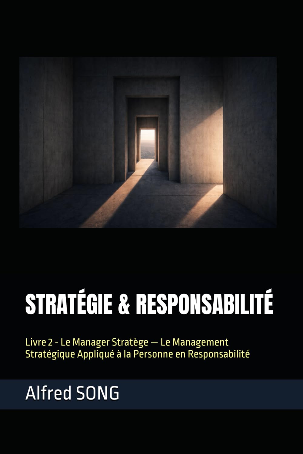 STRATÉGIE & RESPONSABILITÉ: Livre 2 - Le Manager Stratège — Le Management Stratégique Appliqué à la Personne en Responsabilité