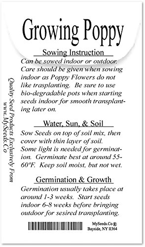 Big Pack - (50,000) Perennial Orange-Scarlet Oriental Poppy Flower Seeds - Papaver Orientale - Non-Gmo Seeds By Myseeds.co (Big Pack - Oriental Poppy) #TOP2