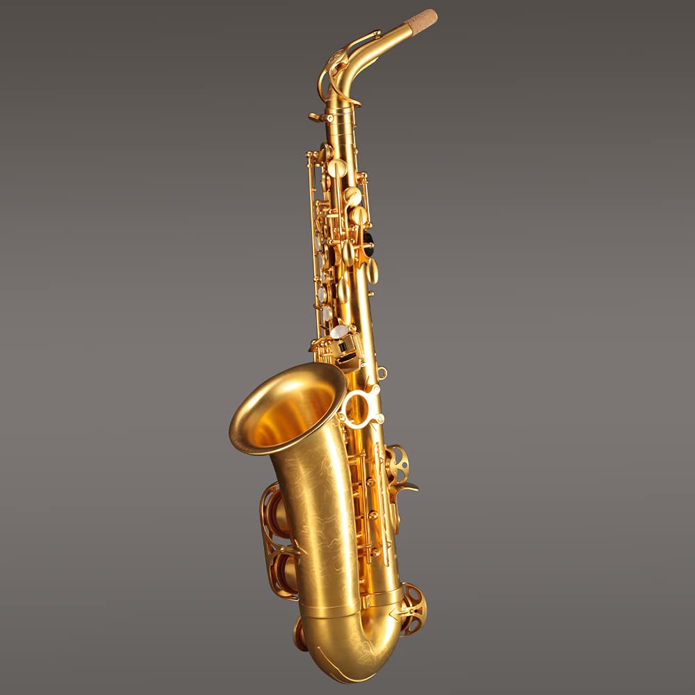 Rollins Saxophone alto RSA-X10-II,E flat Selmer 54-Key,Matière laiton, Or