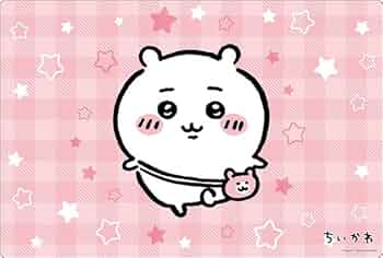 511Uu1CoFEL._AC_UF350,