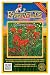 Everwilde Farms - 800 Indian Paintbrush Native Wildflower Seeds - Gold Vault Jumbo Seed Packet