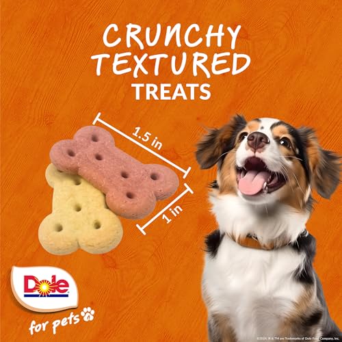 Dole-for-Pets-Freshly-Fetched-Banana-Strawberry-Dog-Biscuits-Real-Fruit-Flavor-Vegan-Crunchy-Snacks-No-Wheat-Corn-Soy-or-Artificial-Additives-7oz-Pack Dole for Pets Freshly Fetched Banana Strawberry Dog Biscuits Real Fruit Flavor Vegan Crunchy Snacks No Wheat Corn Soy or Artificial Additives 7oz Pack
