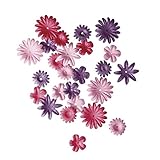 Photo Gallery rayher hobby 7895533 libro del fiore miscela, 1,5 – 2,5 cm, 4 modelli, 36 pezzi, colore: rosa Photo Gallery rayher hobby 7895533 libro del fiore miscela, 1,5 – 2,5 cm, 4 modelli, 36 pezzi, colore: rosa