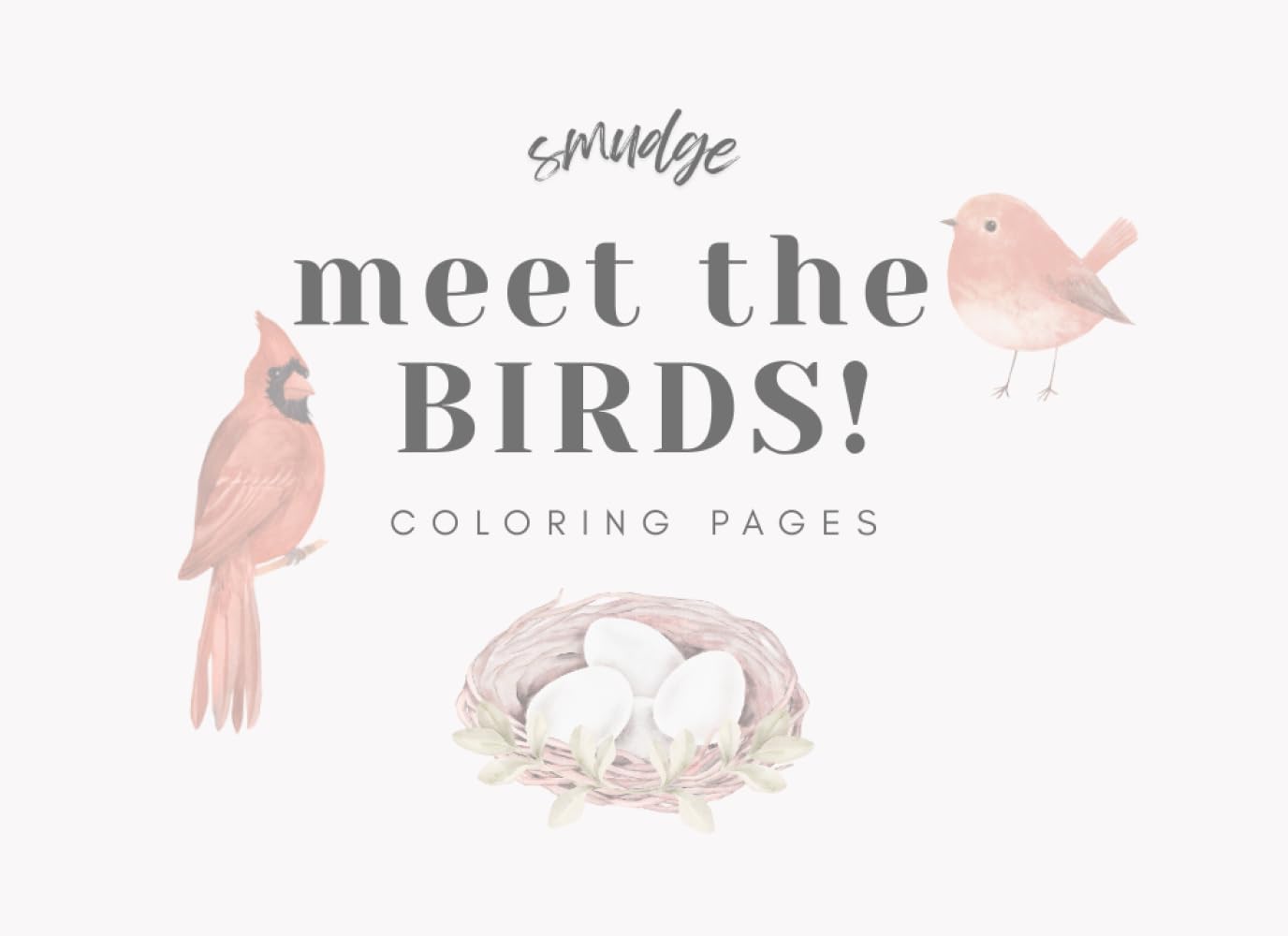 meet the BIRDS!: coloring pages (Smudge's Coloring Books)