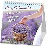 Gute Wünsche sollen dich begleiten 2023: Elli Michler-Postkarten-Kalender