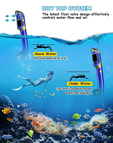 Greatever Dry Snorkel Set,Panoramic Wide View,Anti-Fog Scuba Diving Mask,Professional Snorkeling Gear #TOP3