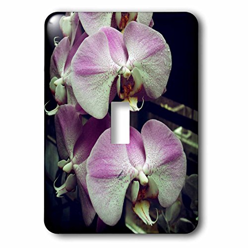 Interrupteur à baïonnette violet 3dRose pour remplacer plaque plastique usée - 2