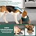 Hundenapf Set Erhöht Hunde Napfset - Doppel Napf Hund Keramik mit rutschfestem Ständer - Erhöhte Futterstation Hund 2er Set für Futter und Wasser - Ideal für kleine und mittelgroße Hunde - 2 x 850 ml
