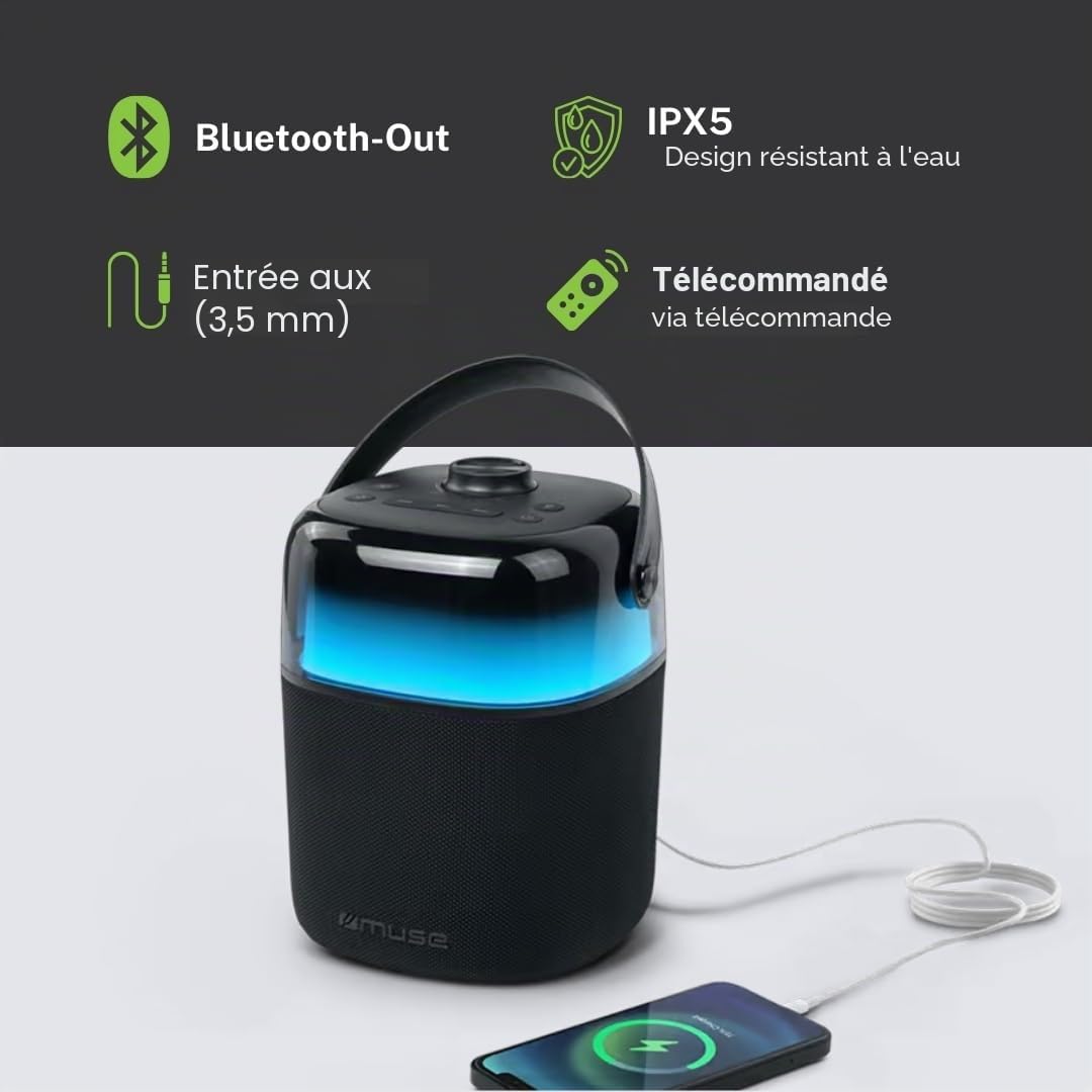 Enceinte Bluetooth Karaoké Noir - M530KA