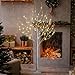 LIGHTSHARE 6 Feet Birch Tree, 72 LED Lights, Warm White, for Home, Festival, Party, and Christmas Decoration, Indoor and Outdoor Use