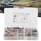 U-Typ-Verschluss, 65 Manganstahl + 304 Edelstahl Rostfreie U-Clips-Muttern Sortiment Feste Schraubenbefestigungen für die Innenausstattung von Kraftfahrzeugen mit Edelstahlschrauben