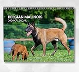 Design spacieux : profitez de la commodité de notre calendrier mensuel, présentant une disposition mensuelle pratique et généreusement spacieuse qui s'adapte facilement à toutes vos dates et événements importants.