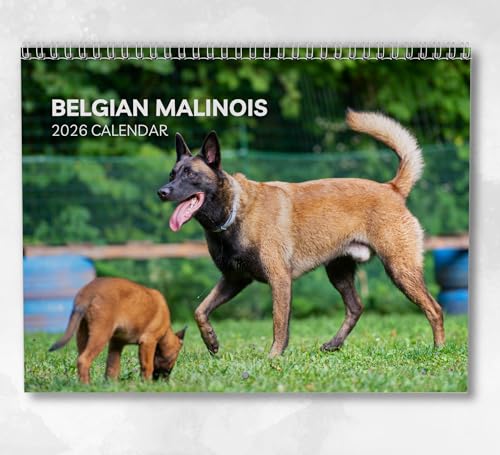 Belgian Malinois Calendar 2026: Monthly Wall Calendar with Notes, Hanging A4 Size, Includes key dates & holidays