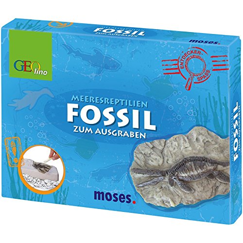 Preisvergleich Produktbild Moses 60022 Geolino Meeresreptilien-Fossil