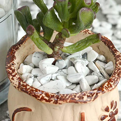 Image of 1lb Howlite Aquarium Gravel Rocks Natural Tumbled Healing Crystal Chips Bulk Gemstones Crushed Stones for Fountain Vase Filler Planters Decorative Fish Tank Potted Reiki Energy Balancing